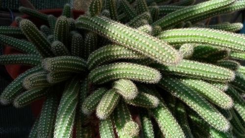 P 20170929 104918 vHDR Auto