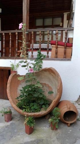 P 20170929 111316 vHDR Auto