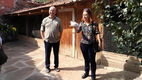 P 20170929 112209 vHDR Auto