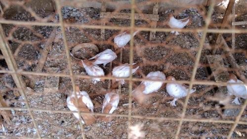 P 20170929 112245 vHDR Auto