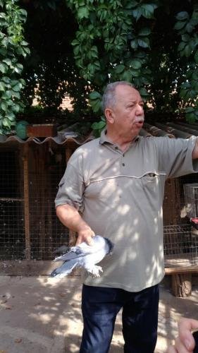 P 20170929 112849 vHDR Auto