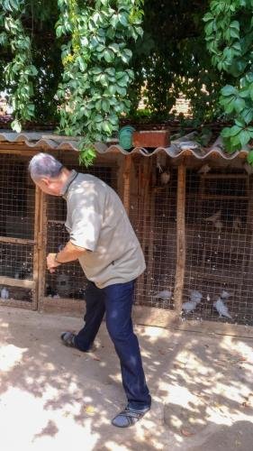 P 20170929 112855 vHDR Auto