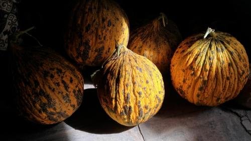 P 20170929 113259 vHDR Auto