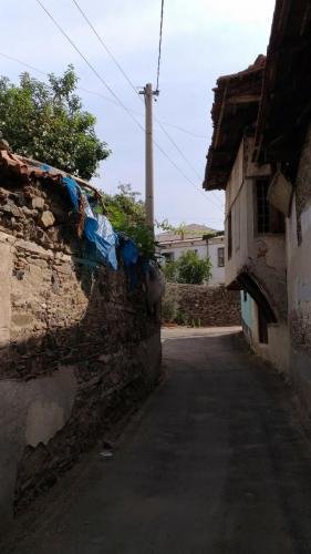 P 20170929 113449 vHDR Auto