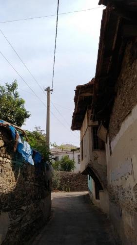 P 20170929 113453 vHDR Auto