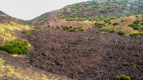 P 20170929 144337 vHDR Auto