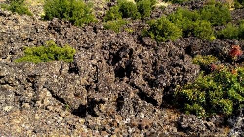 P 20170929 145852 vHDR Auto