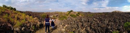 P 20170929 151812 PN