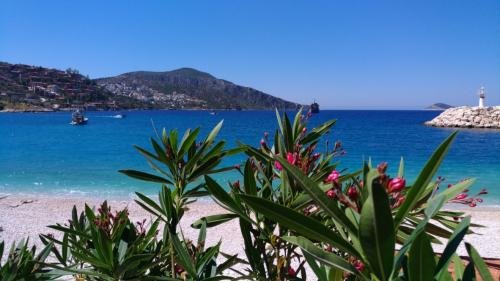 UNADJUSTEDNONRAW thumb 229