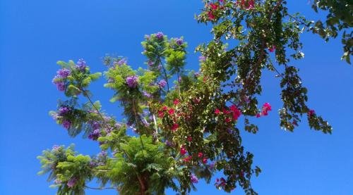 UNADJUSTEDNONRAW thumb 22a