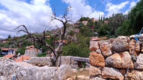 UNADJUSTEDNONRAW thumb 2dd