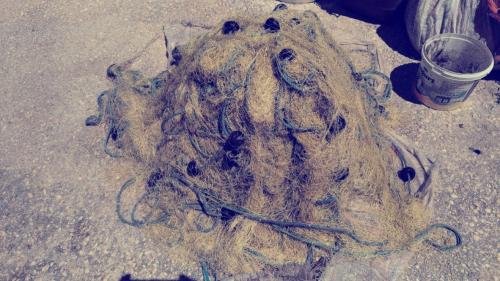 UNADJUSTEDNONRAW thumb 2de