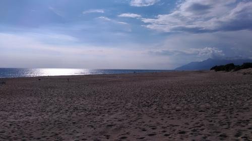 UNADJUSTEDNONRAW thumb 2fa