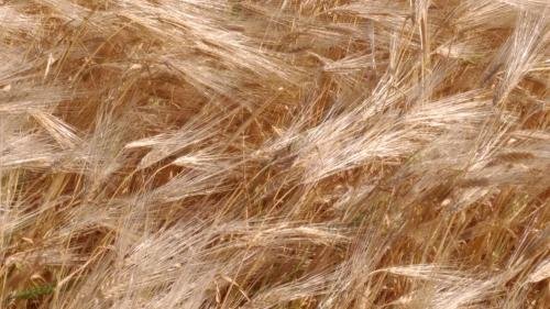 UNADJUSTEDNONRAW thumb 300