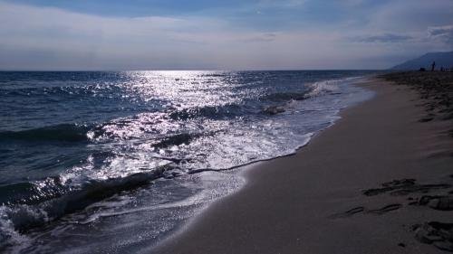 UNADJUSTEDNONRAW thumb 311