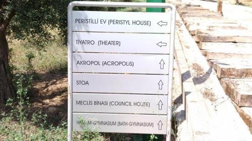 P 20170620 111955 vHDR Auto