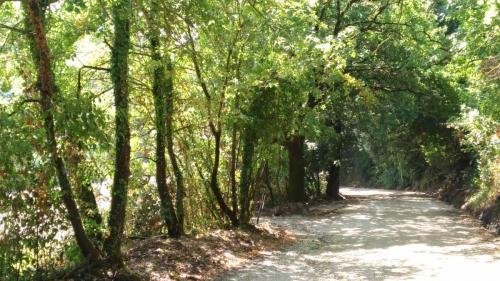 P 20170901 113001 vHDR Auto