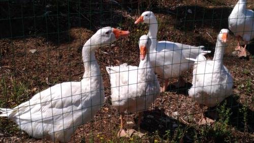 P 20170901 115713 vHDR Auto