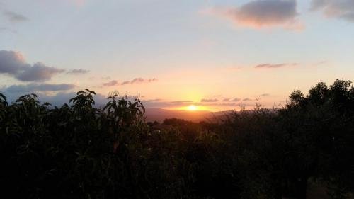 P 20170901 194011 vHDR Auto