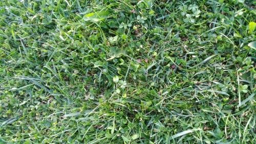 P 20170902 193736 vHDR Auto