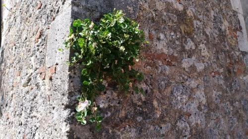 P 20170903 135701 vHDR Auto