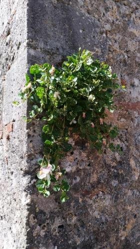 P 20170903 135707 vHDR Auto