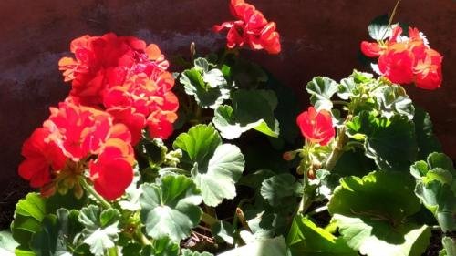 P 20170903 150301 vHDR Auto