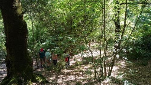 P 20170903 150856 vHDR Auto