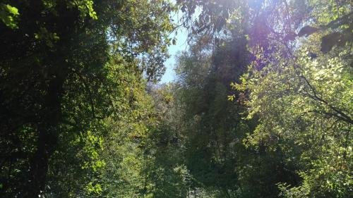 P 20170903 151047 vHDR Auto