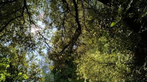 P 20170903 151222 vHDR Auto