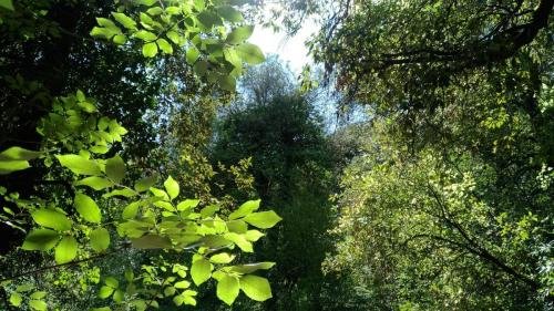 P 20170903 151249 vHDR Auto