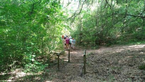 P 20170903 151702 vHDR Auto