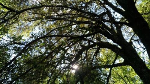 P 20170903 151721 vHDR Auto