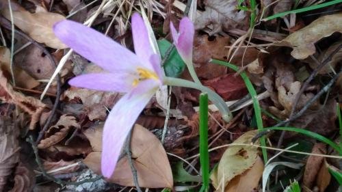 P 20170903 151906 vHDR Auto