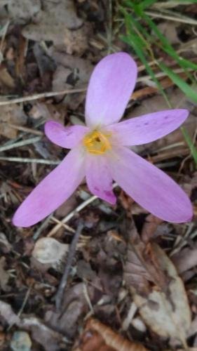 P 20170903 152003 vHDR Auto