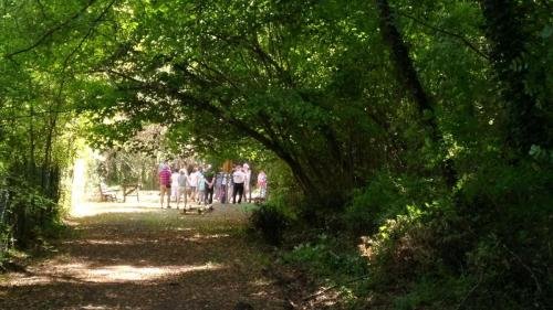 P 20170903 152341 vHDR Auto