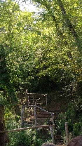 P 20170903 152520 vHDR Auto