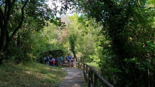 P 20170903 152818 vHDR Auto