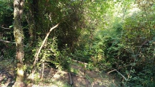 P 20170903 152844 vHDR Auto