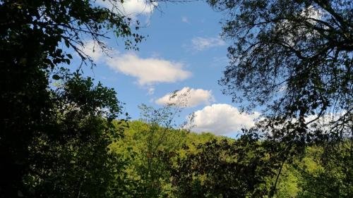 P 20170903 152850 vHDR Auto