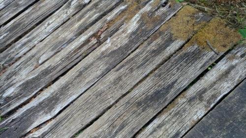 P 20170903 152935 vHDR Auto