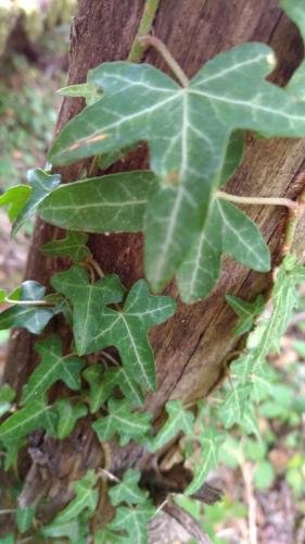 P 20170903 153002 vHDR Auto