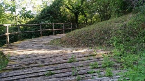 P 20170903 153120 vHDR Auto