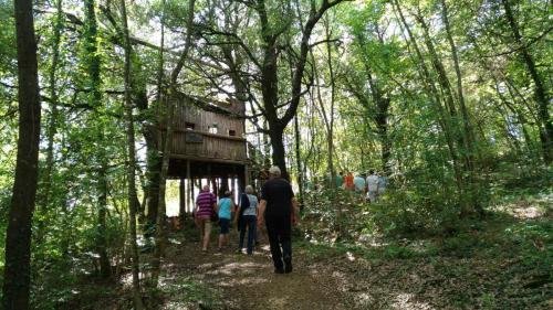 P 20170903 153513 vHDR Auto