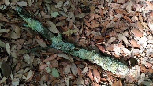 P 20170903 153531 vHDR Auto