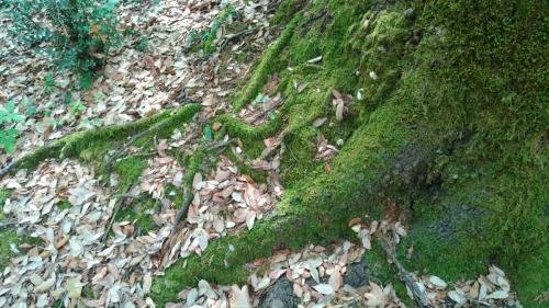 P 20170903 153549 vHDR Auto