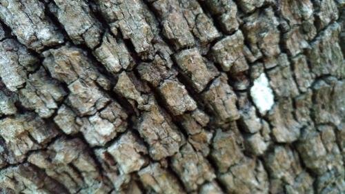 P 20170903 153603 vHDR Auto