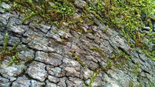 P 20170903 153611 vHDR Auto