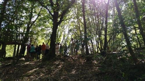 P 20170903 153734 vHDR Auto