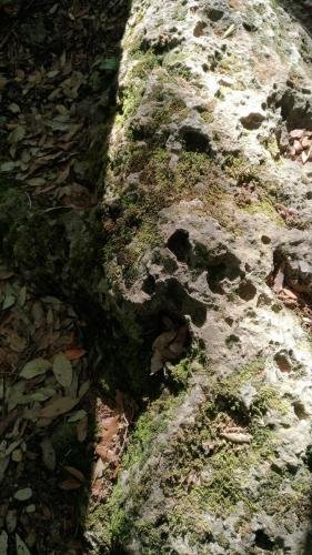 P 20170903 154026 vHDR Auto